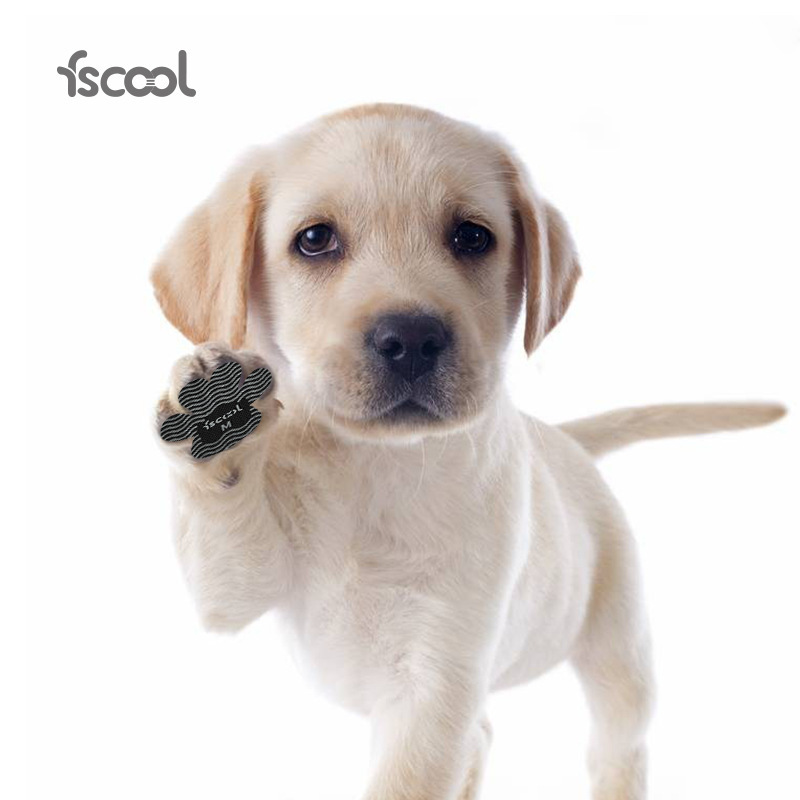 Anti-Scratch Pet Insoles-Petboxok