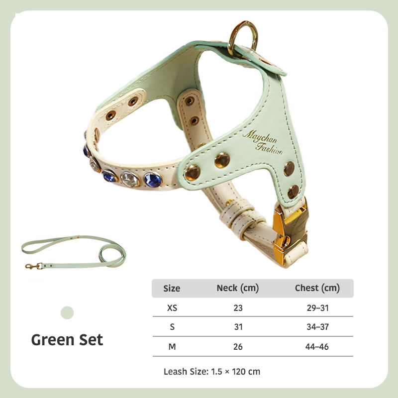 Diamond Harness & Leash Set