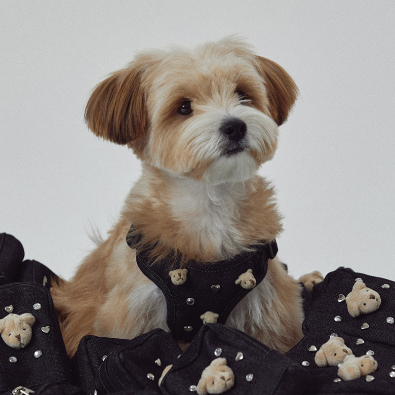 Cute Bear Embroidered Denim Dog Harness Set