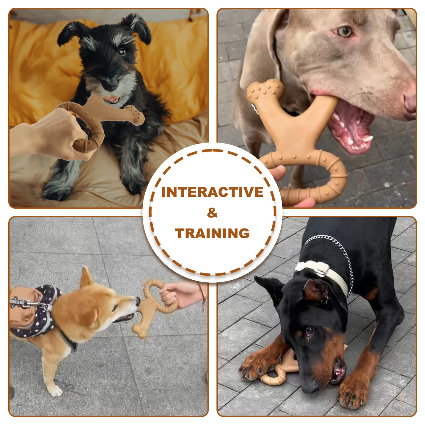 Nylon durable dog chew toy-Petboxok