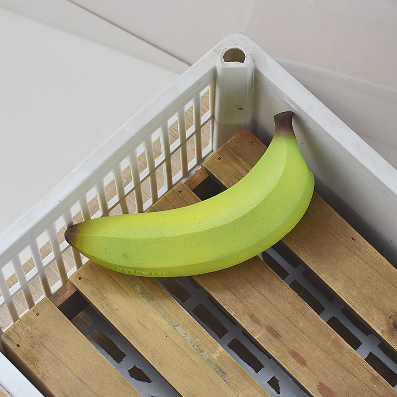 Pet Chew Toy with Noise Maker-Petboxok