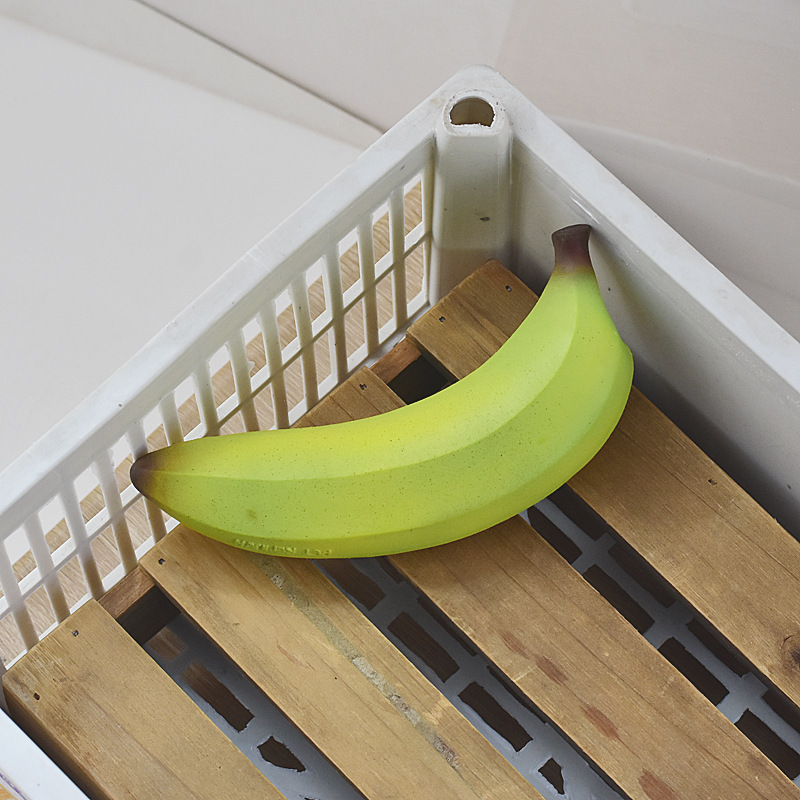 Pet Chew Toy with Noise Maker-Petboxok