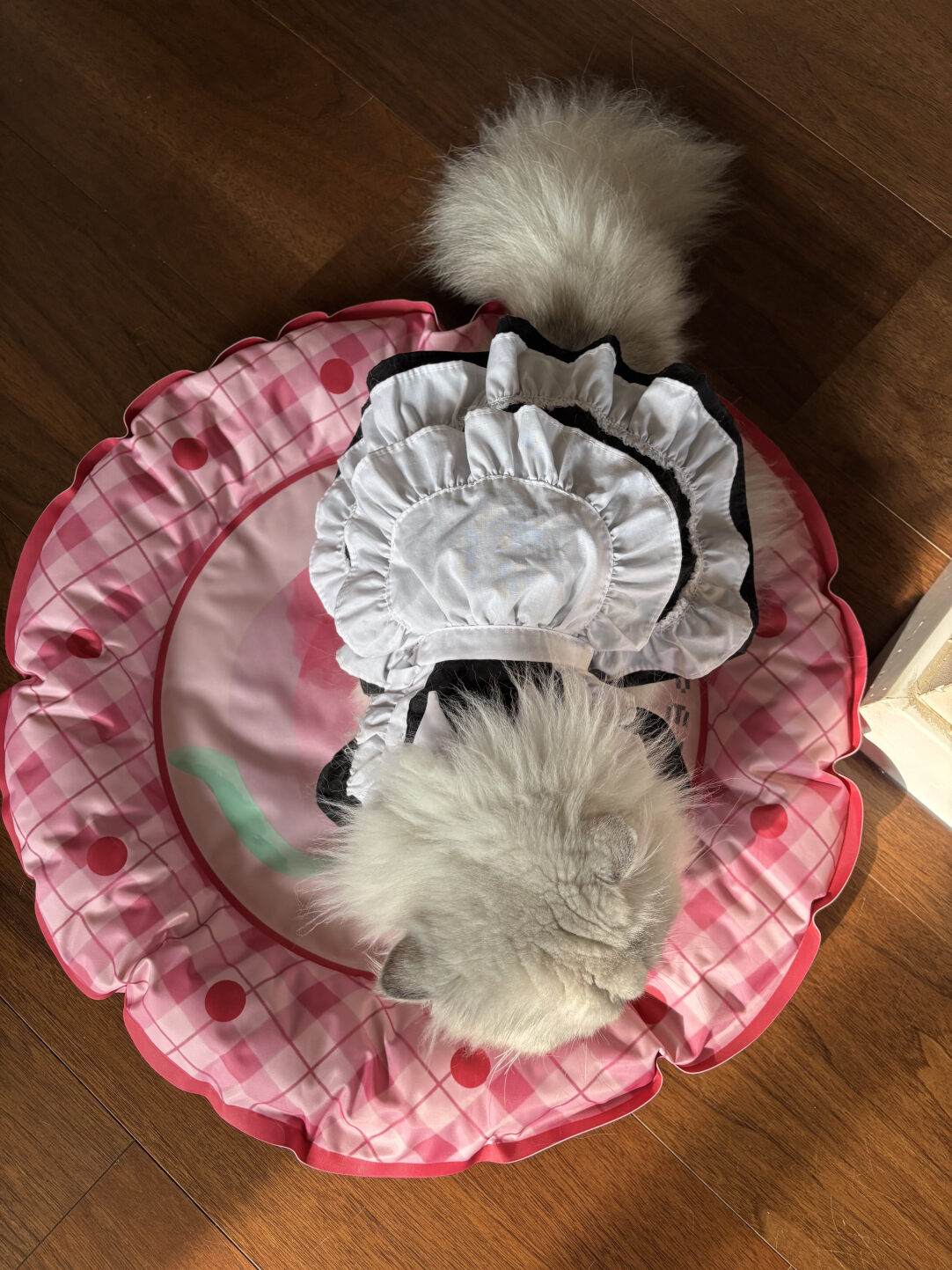 Summer Peach Pet Cooling Mat-Petboxok