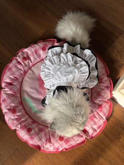 Summer Peach Pet Cooling Mat-Petboxok