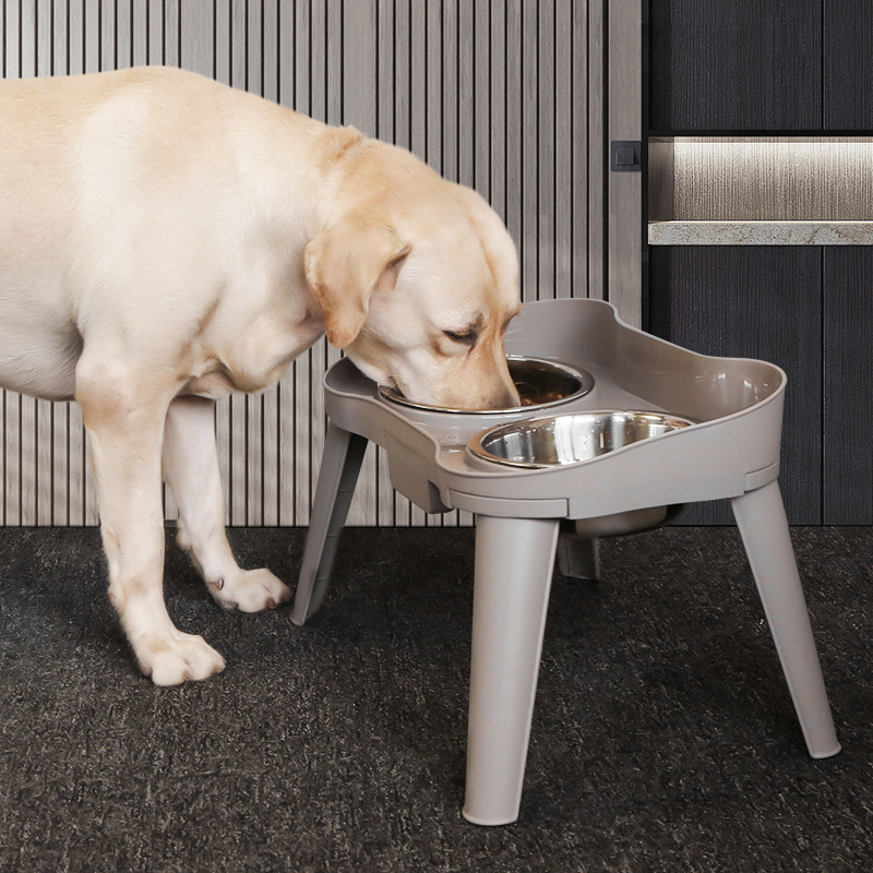 Rimmed Bowl with Elevated Stand-Petboxok