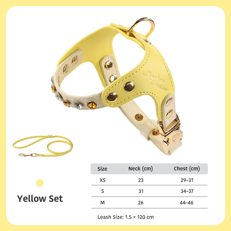 Diamond Harness & Leash Set