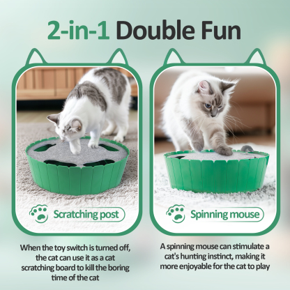 2-in-1 Upgraded Interactive Cat Toy-Petboxok