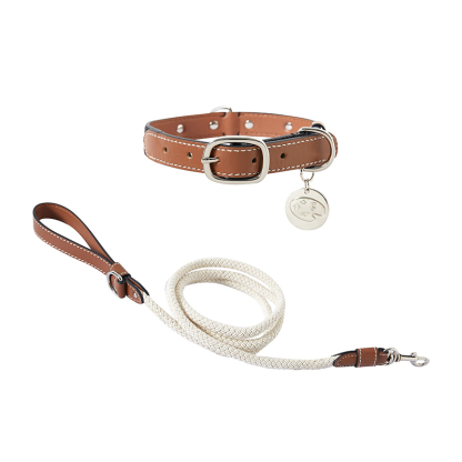 Studded Genuine Leather Collar with Leash