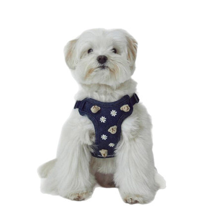 Cute Bear Embroidered Denim Dog Harness Set