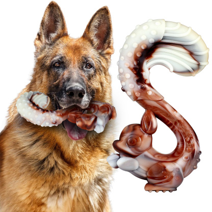 Nylon durable dog chew toy-Petboxok