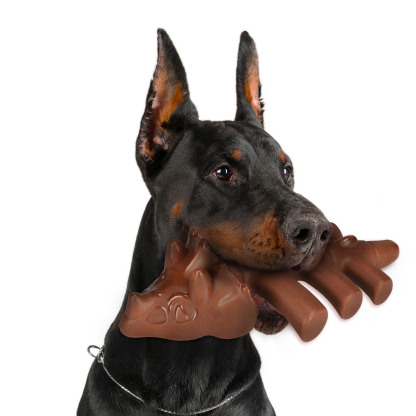 Nylon durable dog chew toy-Petboxok