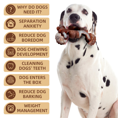 Nylon durable dog chew toy-Petboxok