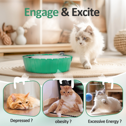 2-in-1 Upgraded Interactive Cat Toy-Petboxok