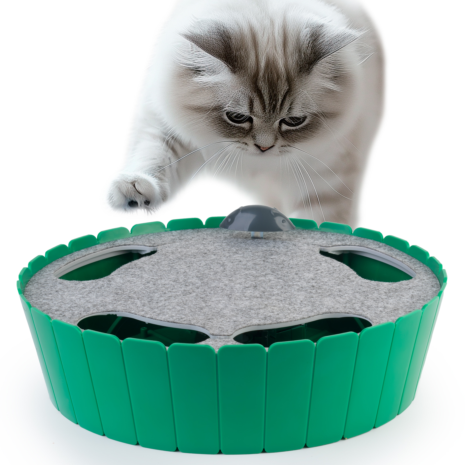 2-in-1 Upgraded Interactive Cat Toy-Petboxok