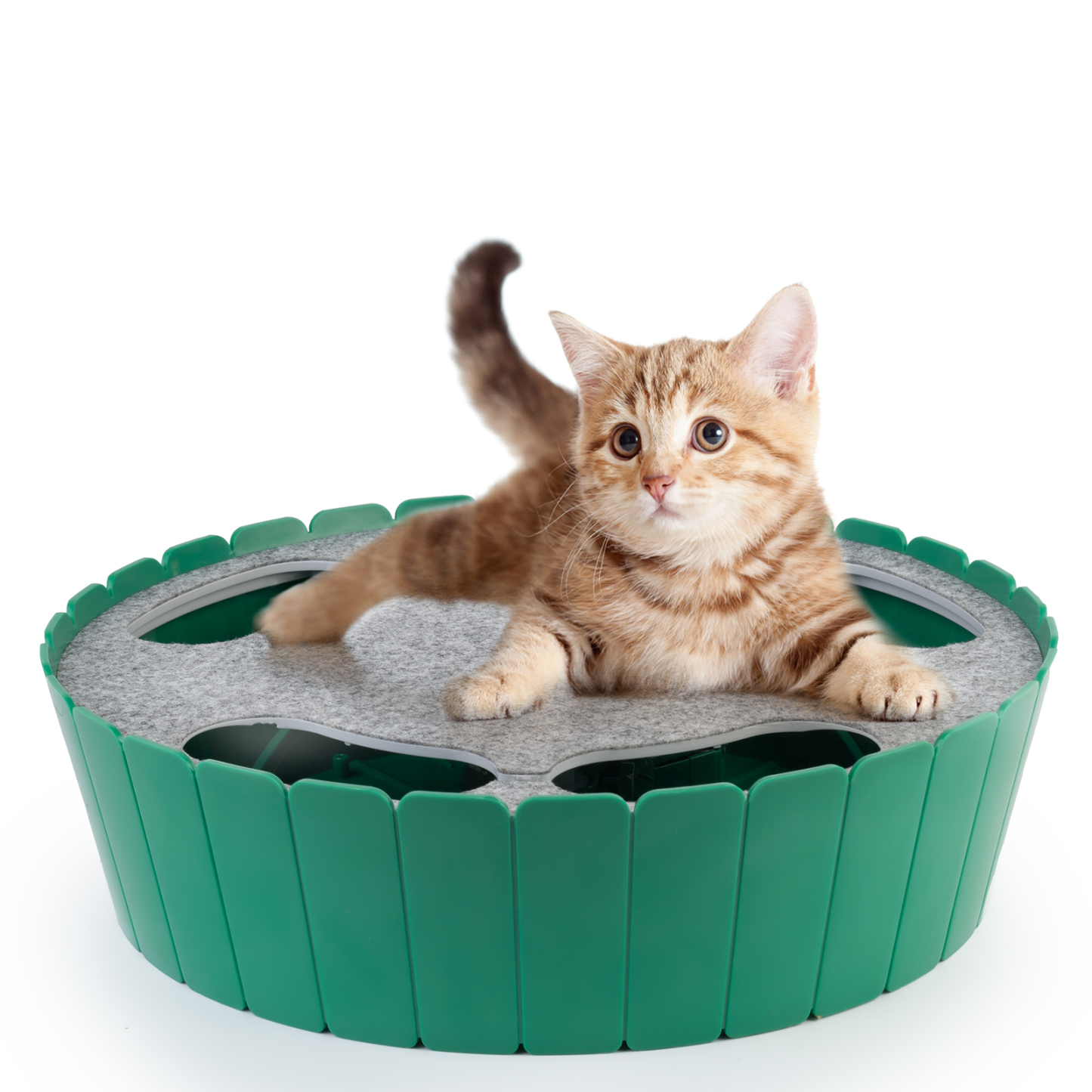 2-in-1 Upgraded Interactive Cat Toy-Petboxok
