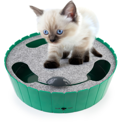 2-in-1 Upgraded Interactive Cat Toy-Petboxok