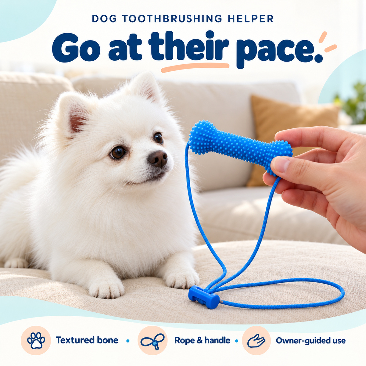 Dog Toothbrushing Helper - Textured Bone with Rope Handle