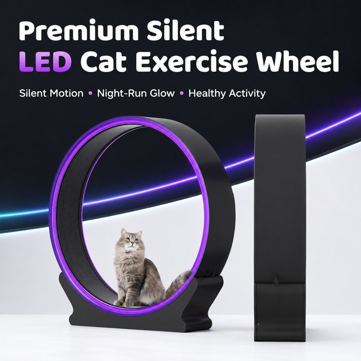 Designer ABS Cat Treadmill