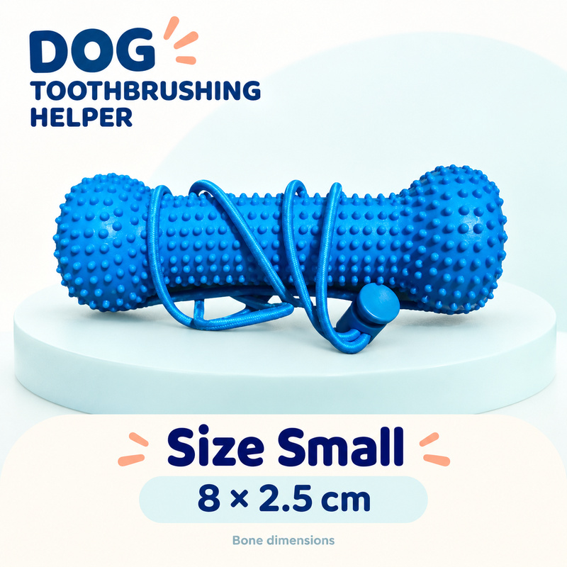 Dog Toothbrushing Helper - Textured Bone with Rope Handle