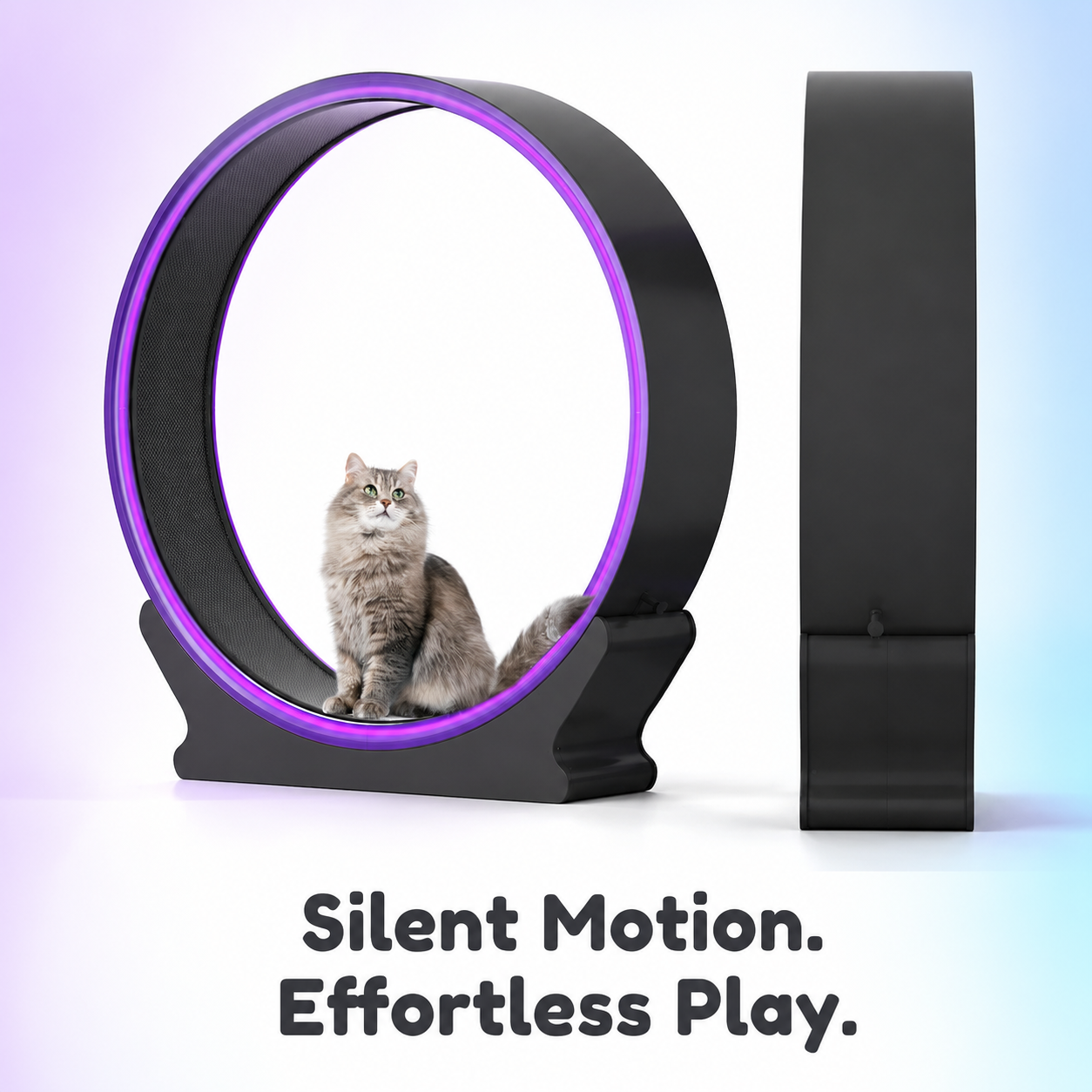 Designer ABS Cat Treadmill