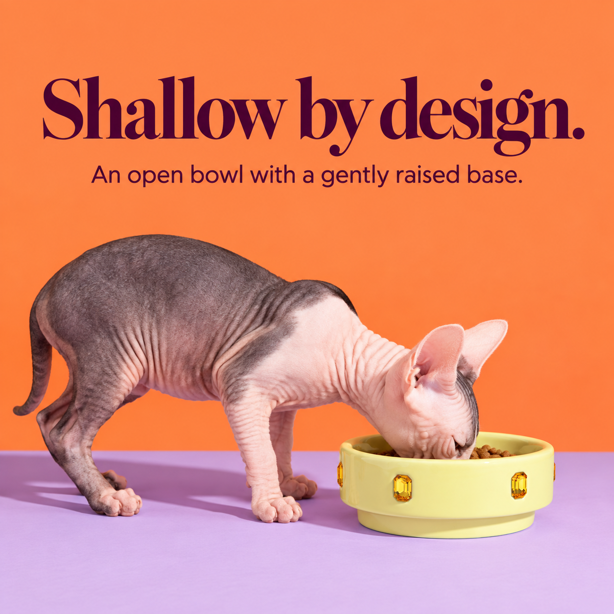 MarsMail Jeweled Ceramic Pet Bowl 
