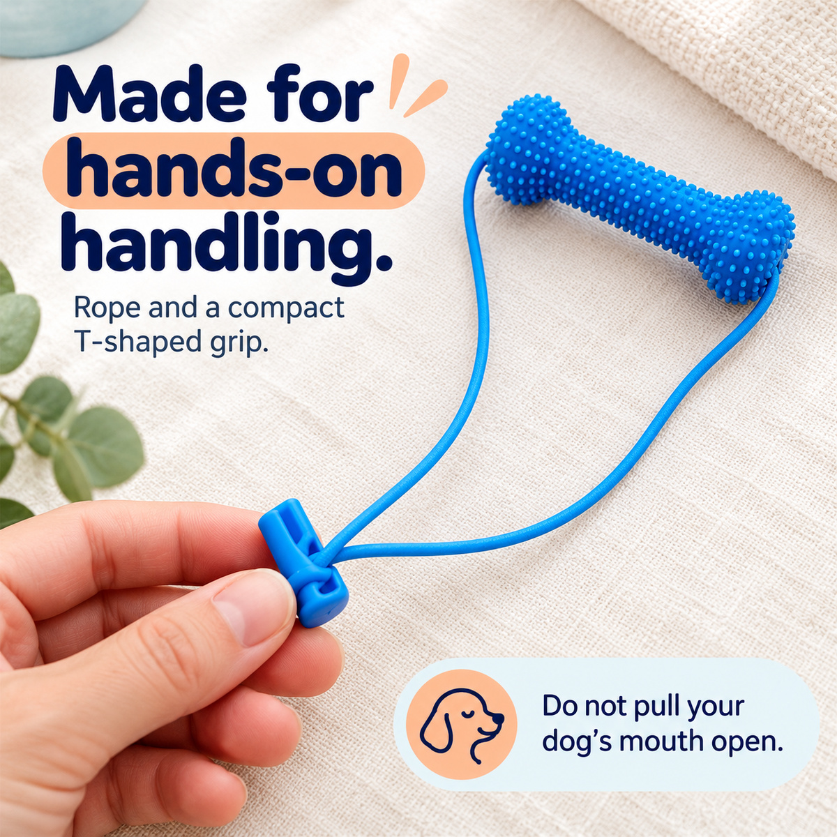 Dog Toothbrushing Helper - Textured Bone with Rope Handle