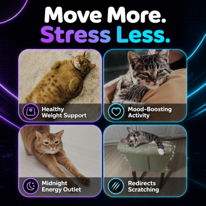 Designer ABS Cat Treadmill