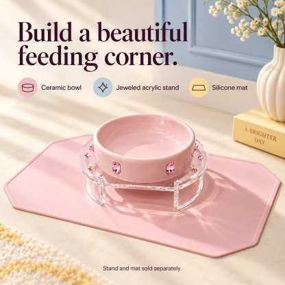 MarsMail Jeweled Ceramic Pet Bowl 