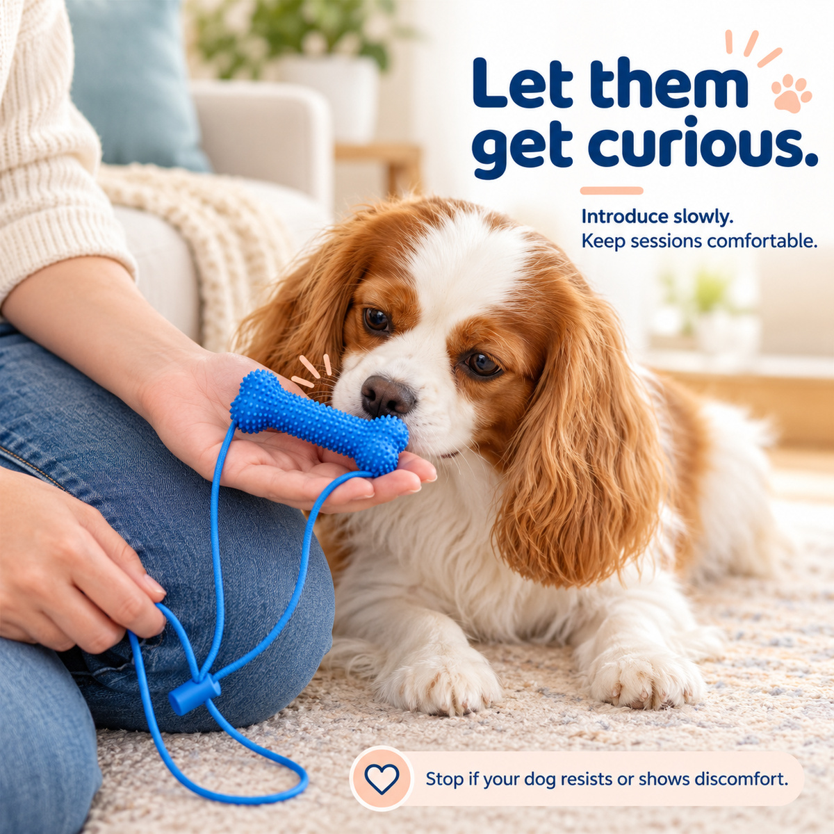 Dog Toothbrushing Helper - Textured Bone with Rope Handle