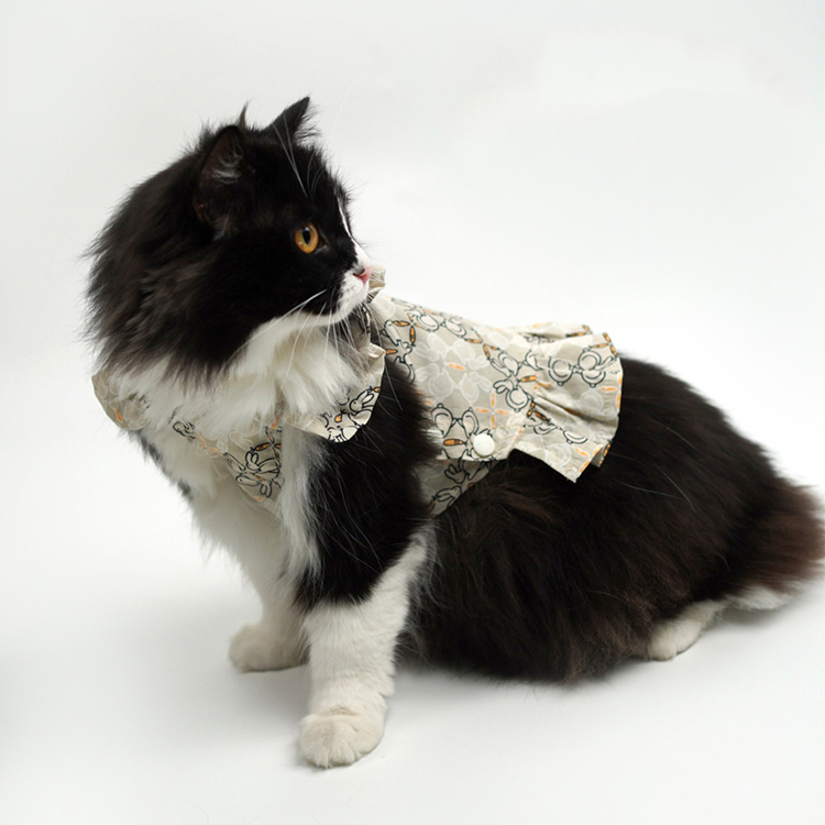 Pet Ruffled Dress-Petboxok