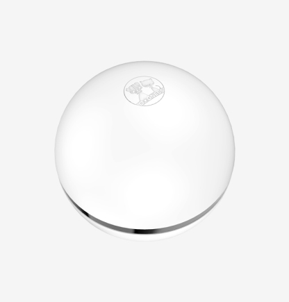 Cat Rolling Mint Toy