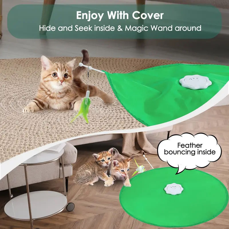 2 IN 1 INTERACTIVE CAT TOY-Petboxok
