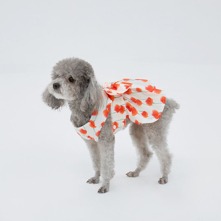 Pet Fashion Harness Dress-Petboxok
