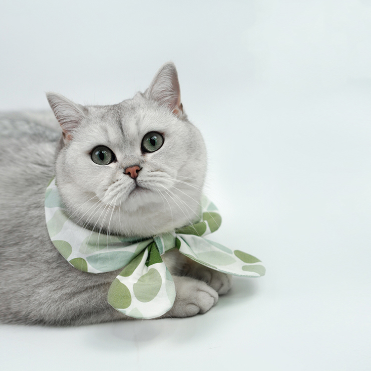 Pet Fashion Harness Dress-Petboxok