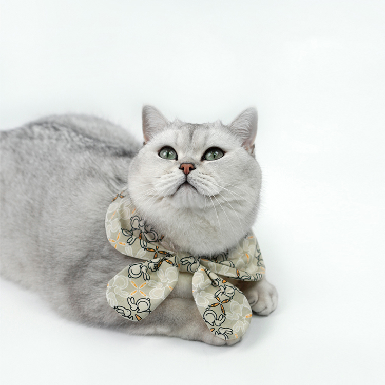 Pet Ruffled Dress-Petboxok