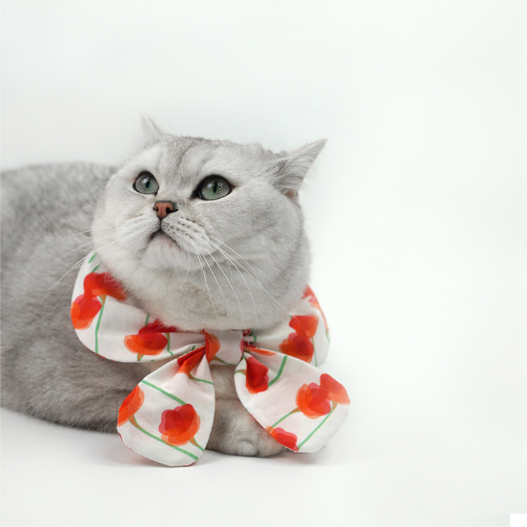 Pet Fashion Harness Dress-Petboxok