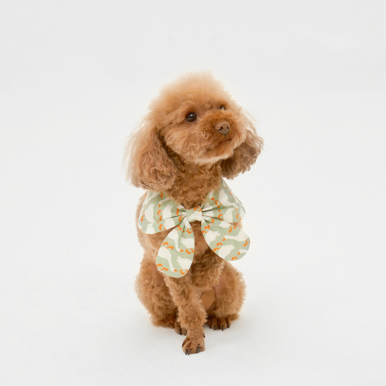 Pet Harness Dress-Petboxok