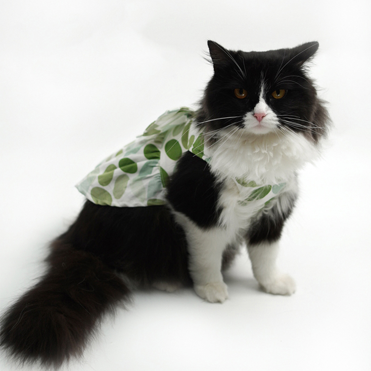 Pet Fashion Harness Dress-Petboxok