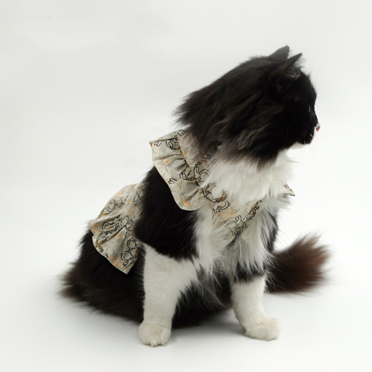 Pet Ruffled Dress-Petboxok