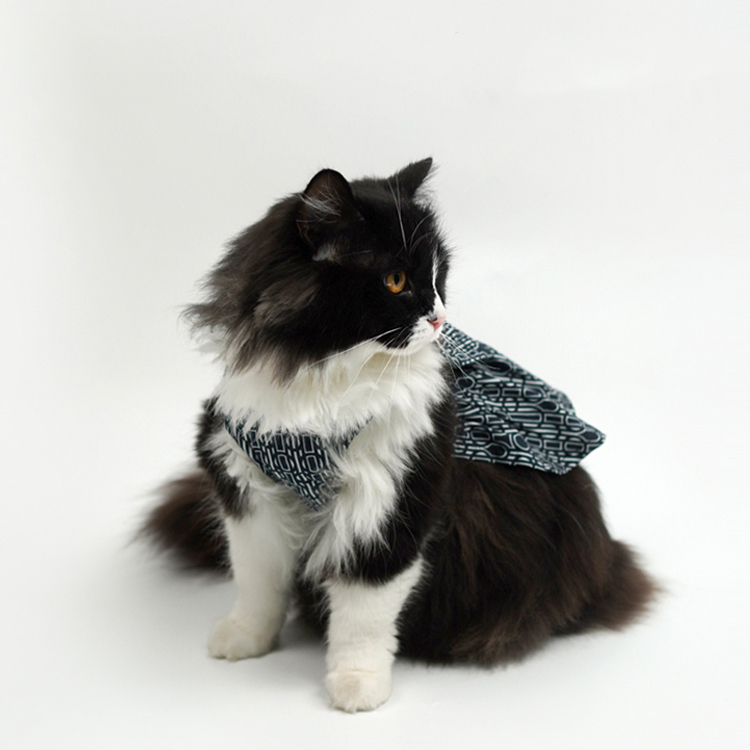 Pet Harness Dress-Petboxok