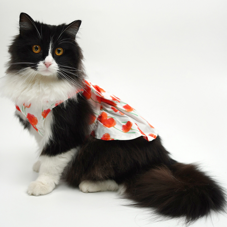 Pet Fashion Harness Dress-Petboxok