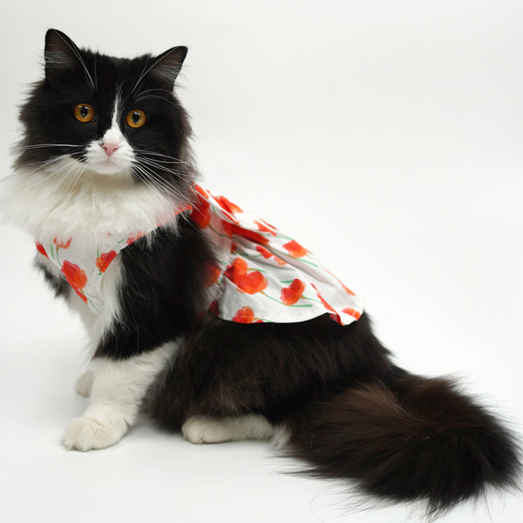 Pet Fashion Harness Dress-Petboxok