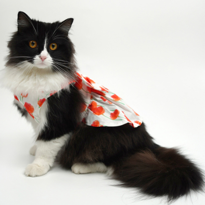 Pet Fashion Harness Dress-Petboxok
