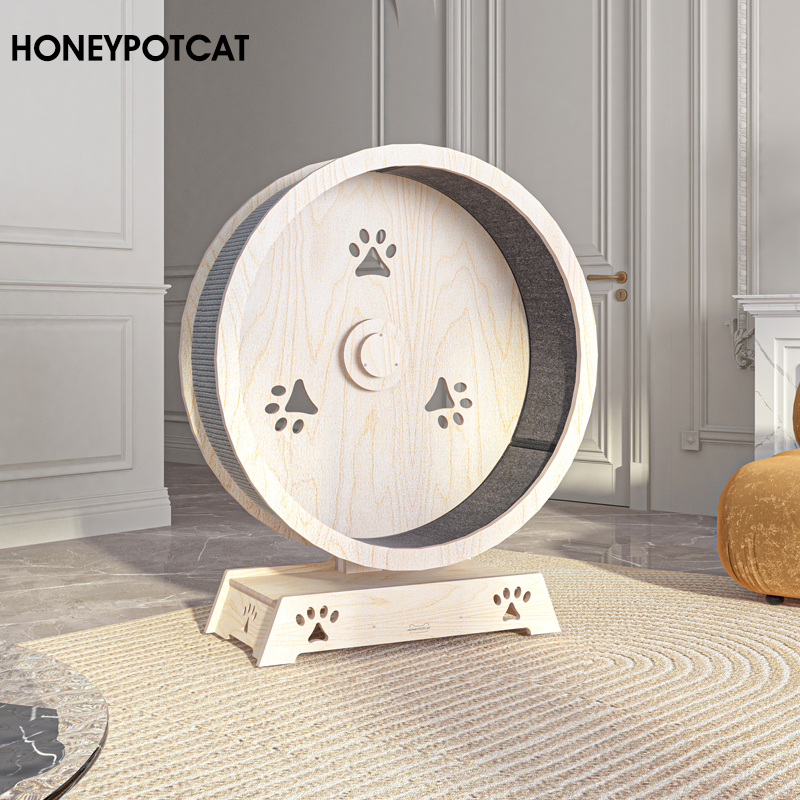 Cat Treadmill – Interactive Exercise Wheel for Indoor Cats-Petboxok