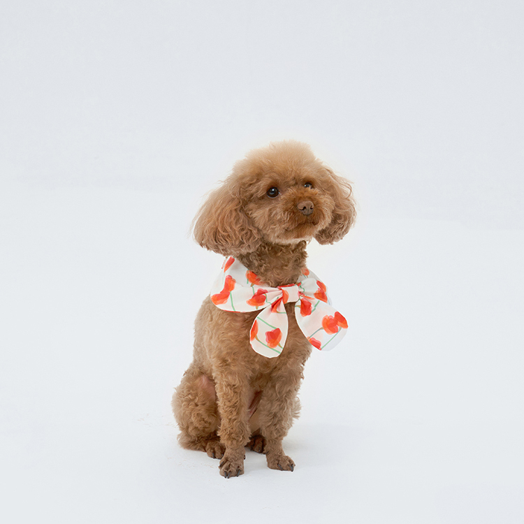 Pet Fashion Harness Dress-Petboxok