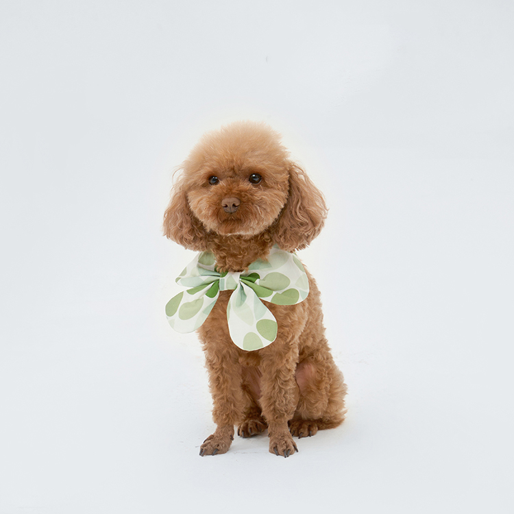 Pet Fashion Harness Dress-Petboxok