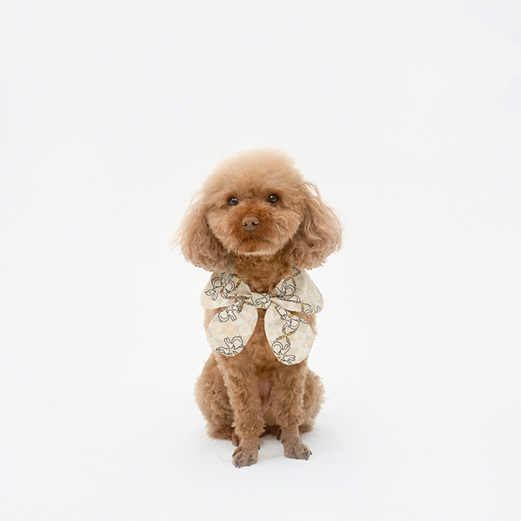 Pet Ruffled Dress-Petboxok