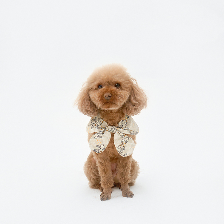 Pet Ruffled Dress-Petboxok