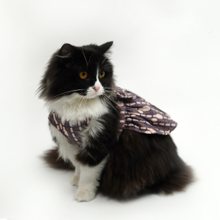 Pet Harness Dress-Petboxok