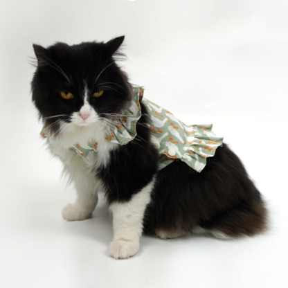 Pet Harness Dress-Petboxok